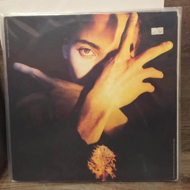 Terence Trent Darbys Neither Fish Nor Flesh a Soundtrack of Love Faith Hope and Destruction Vinyl, LP Plak