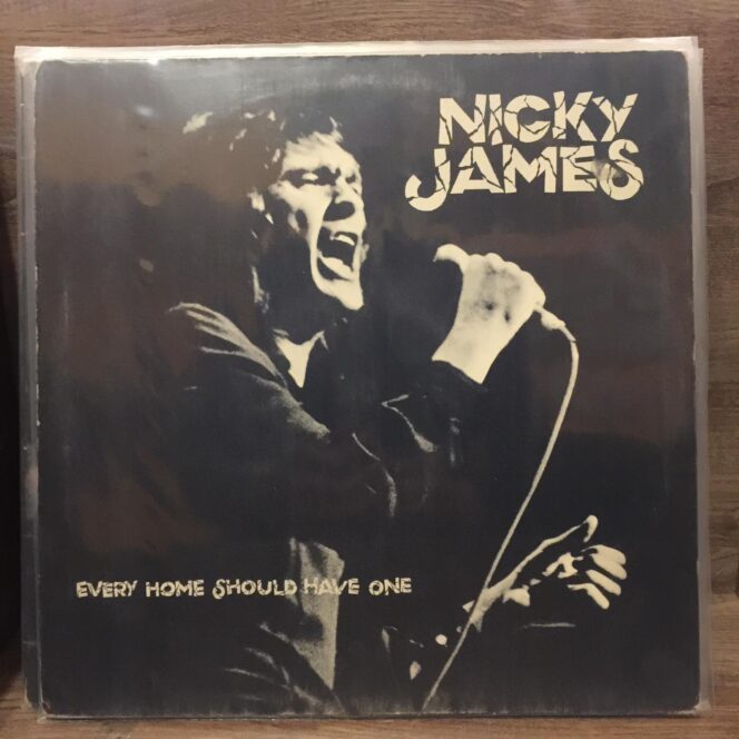 Nicky James ‎– Every Home Should Have One Vinyl, LP Plak