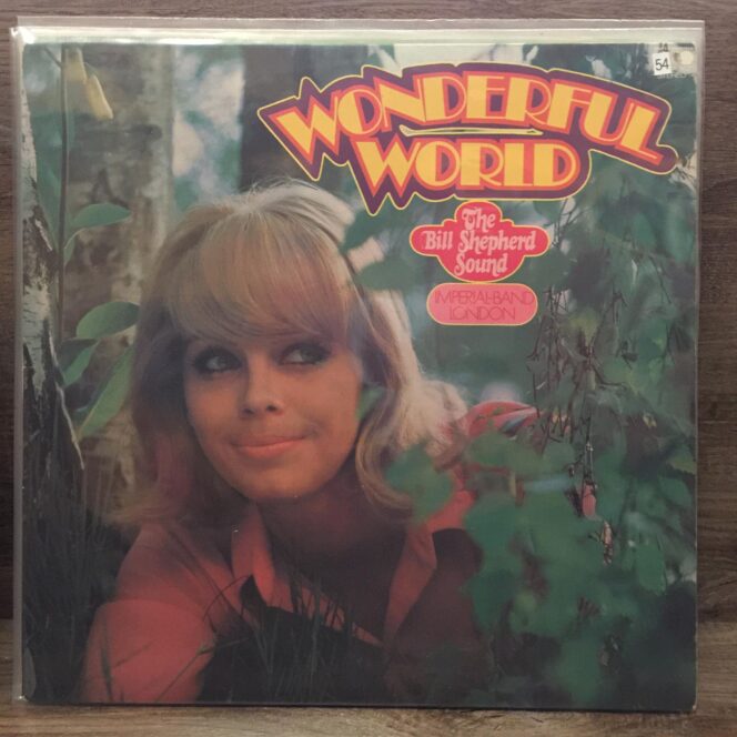 Bill Shepherd Sound - Wonderful World Vinyl, LP Plak