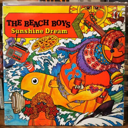 THE BEACH BOYS -SUNSHINE DREAM - Vinyl, LP, Album, Stereo - PLAK