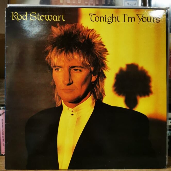 ROD STEWART - TONIGHT I'M YOURS - Vinyl, LP, Album, Stereo - PLAK