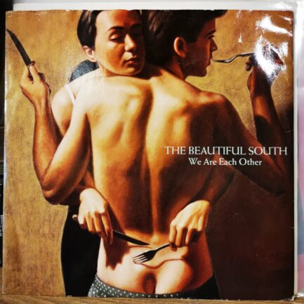 THE BEAUTIFUL SOUTH - WE ARE EACH OTHER 12", 45 RPM, MAXI Single - PLAK