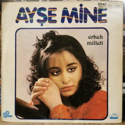 AYŞE MINE - ERKEK MILLETI - Vinyl, LP, Album - PLAK