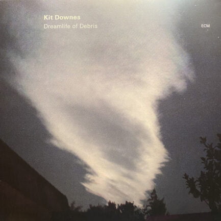 KIT DOWNES - DREAMLIFE OF DEBRIS - Vinyl, LP, Album - PLAK