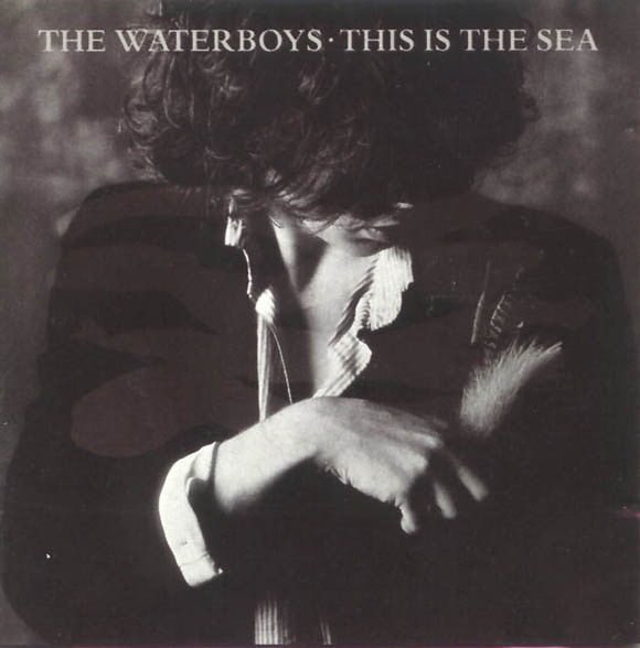 THE WATERBOYS - THIS IS THE SEA - Vinyl, LP, Album- PLAK
