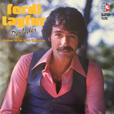 Ferdi Tayfur Derbeder Vinyl LP Plak