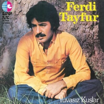 Ferdi Tayfur Yuvasız Kuşlar Vinyl LP Plak