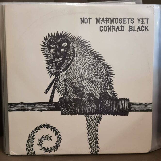 Conrad Black – Not Marmosets Yet