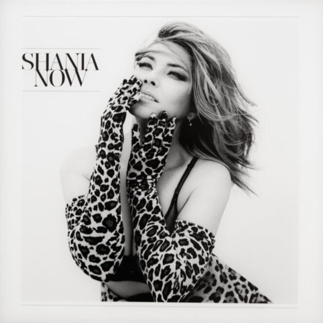 Shania- Now- 2 × Vinyl, LP, Album, 180 Gram-PLAK