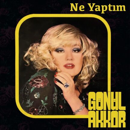 Gönül Akkor – Ne Yaptım ‎ Vinyl, LP Plak