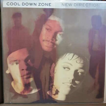 Cool Down Zone ‎– New Direction Vinyl, LP, Album Plak