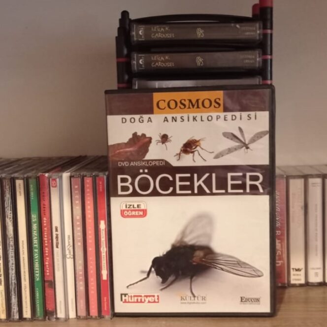 Böcekler - 2.EL DVD