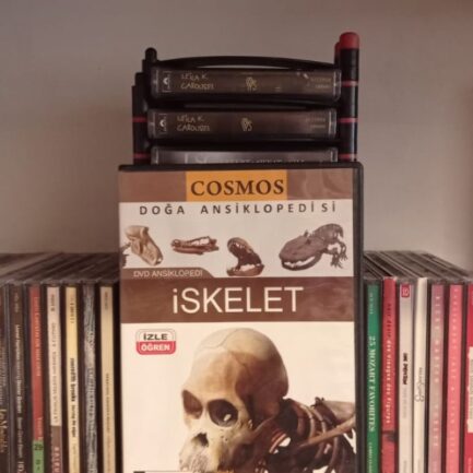 İskelet - 2.EL DVD